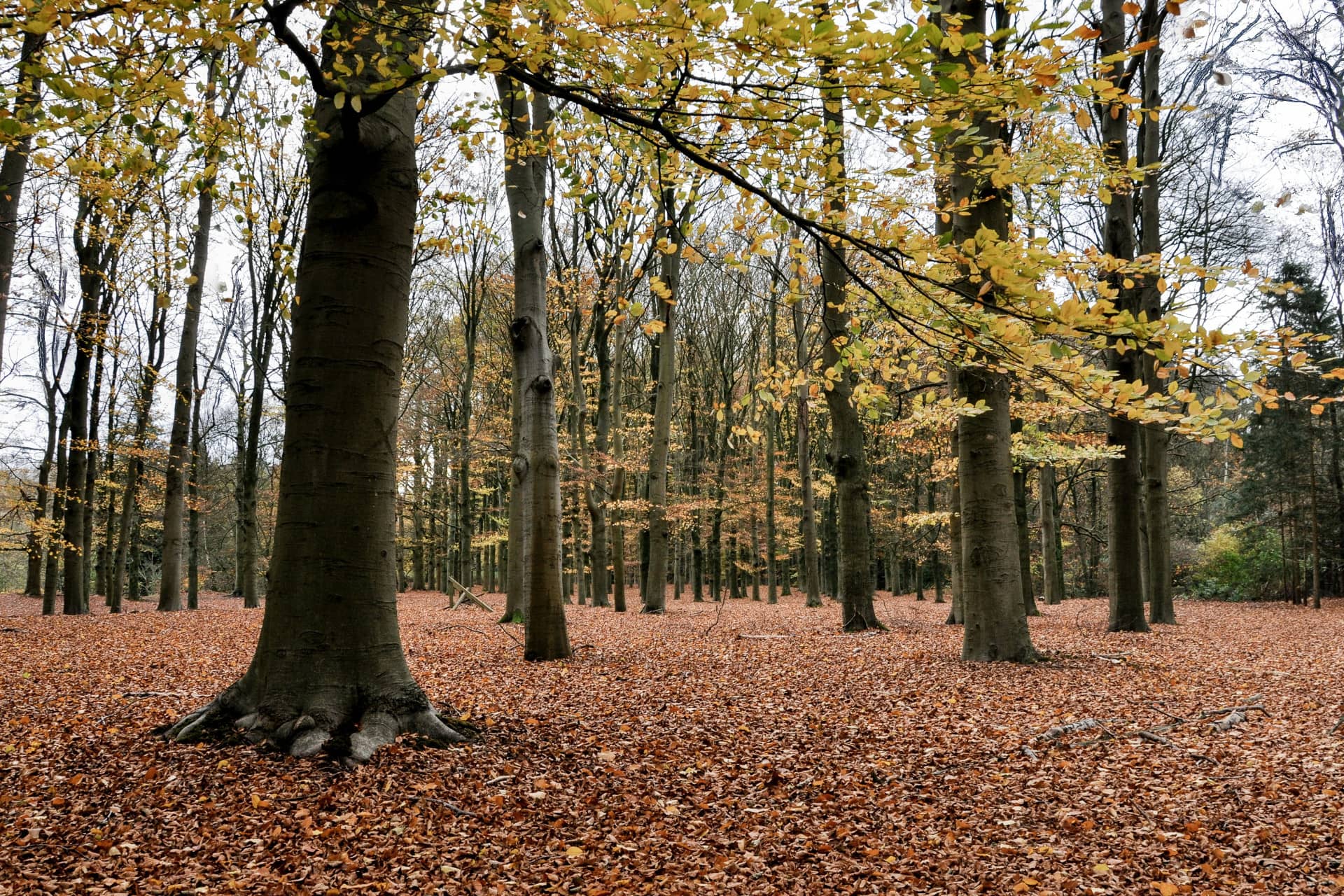 Vloerisolatie in Baarn