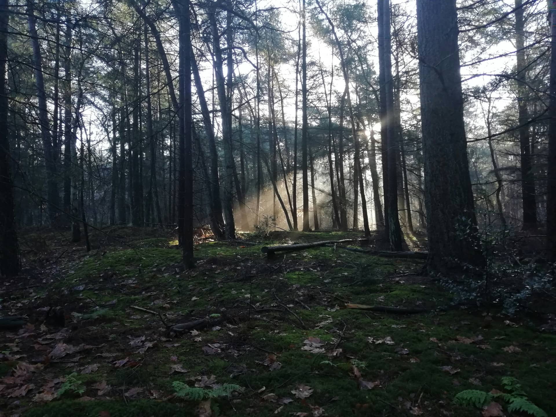 Vloerisolatie in Driebergen-Rijsenburg
